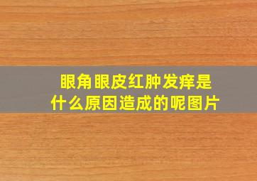 眼角眼皮红肿发痒是什么原因造成的呢图片