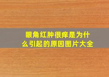 眼角红肿很痒是为什么引起的原因图片大全