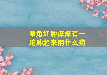 眼角红肿痒痒有一坨肿起来用什么药