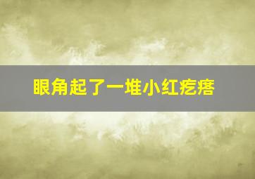 眼角起了一堆小红疙瘩