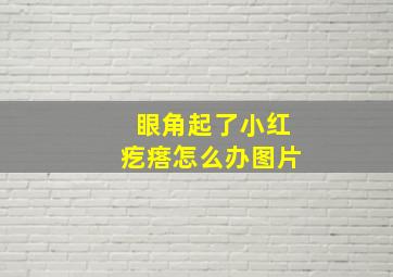 眼角起了小红疙瘩怎么办图片