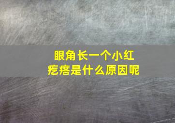 眼角长一个小红疙瘩是什么原因呢