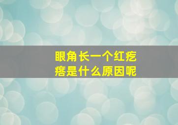 眼角长一个红疙瘩是什么原因呢