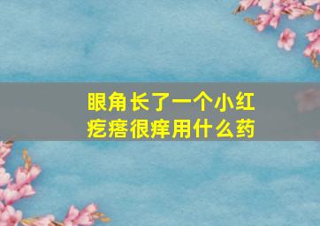 眼角长了一个小红疙瘩很痒用什么药