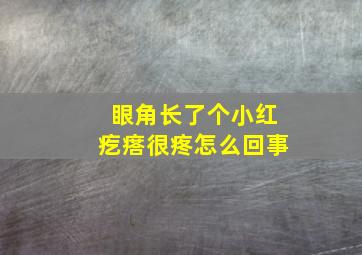 眼角长了个小红疙瘩很疼怎么回事