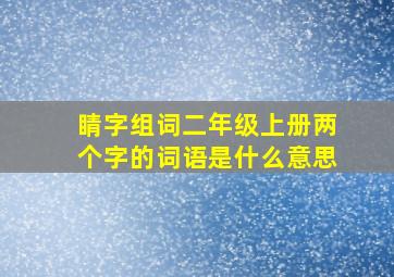 睛字组词二年级上册两个字的词语是什么意思