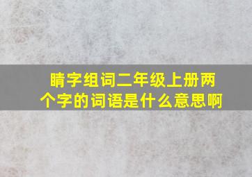 睛字组词二年级上册两个字的词语是什么意思啊