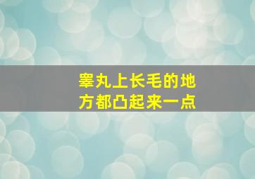 睾丸上长毛的地方都凸起来一点