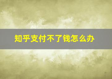 知乎支付不了钱怎么办