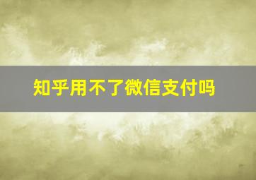 知乎用不了微信支付吗