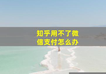 知乎用不了微信支付怎么办