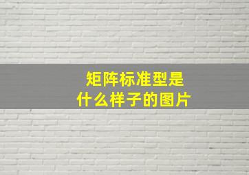 矩阵标准型是什么样子的图片