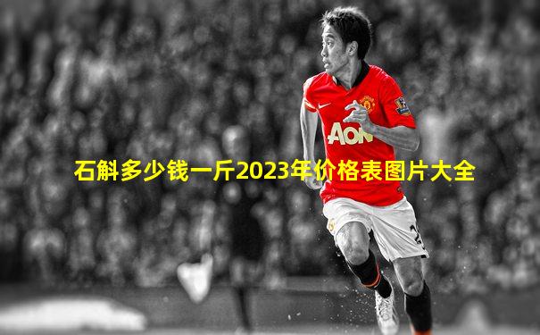 石斛多少钱一斤2023年价格表图片大全