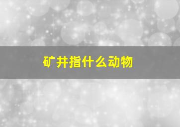 矿井指什么动物