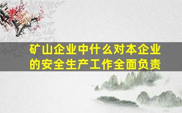 矿山企业中什么对本企业的安全生产工作全面负责