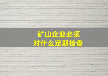 矿山企业必须对什么定期检查