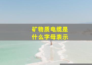 矿物质电缆是什么字母表示