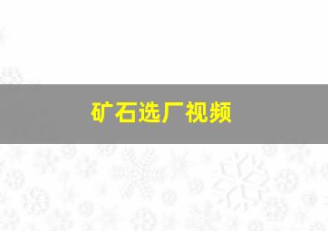 矿石选厂视频