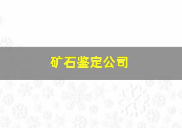 矿石鉴定公司