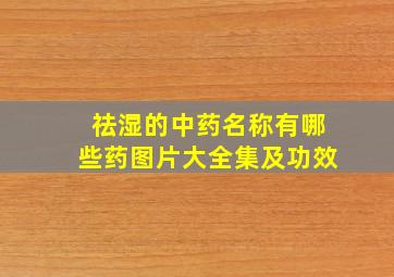 祛湿的中药名称有哪些药图片大全集及功效