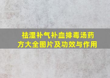 祛湿补气补血排毒汤药方大全图片及功效与作用