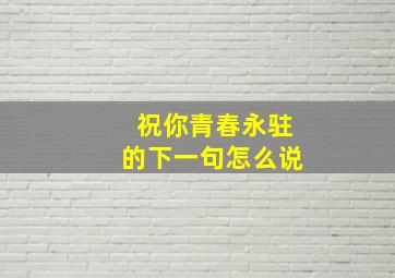 祝你青春永驻的下一句怎么说