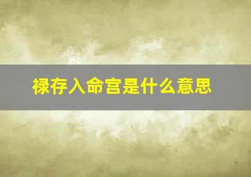 禄存入命宫是什么意思