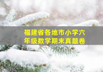 福建省各地市小学六年级数学期末真题卷