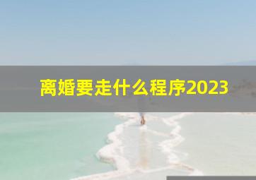 离婚要走什么程序2023