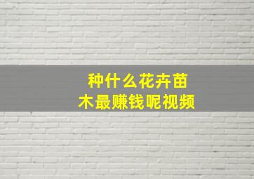 种什么花卉苗木最赚钱呢视频