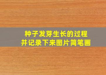 种子发芽生长的过程并记录下来图片简笔画