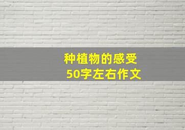 种植物的感受50字左右作文