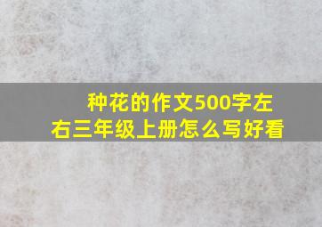 种花的作文500字左右三年级上册怎么写好看