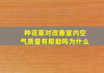 种花草对改善室内空气质量有帮助吗为什么