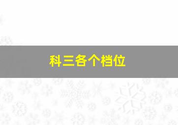 科三各个档位