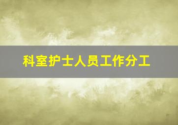 科室护士人员工作分工