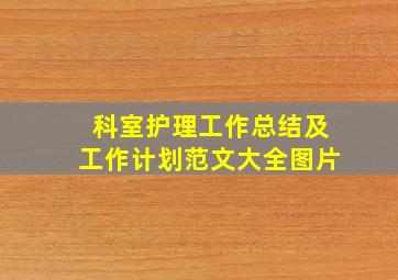 科室护理工作总结及工作计划范文大全图片