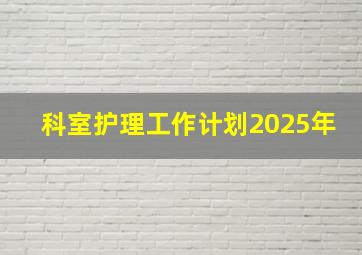 科室护理工作计划2025年