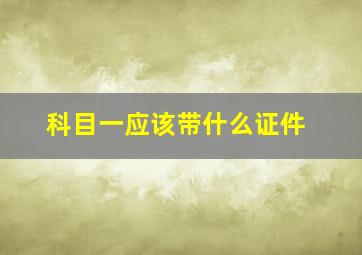 科目一应该带什么证件