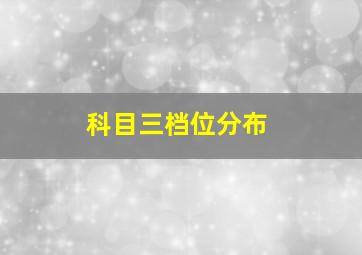 科目三档位分布