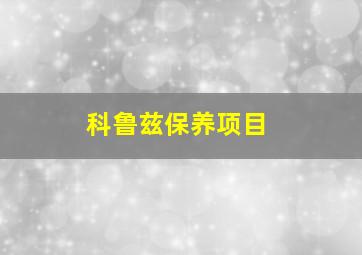 科鲁兹保养项目