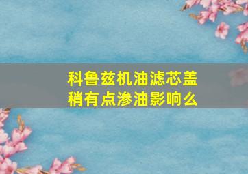 科鲁兹机油滤芯盖稍有点渗油影响么