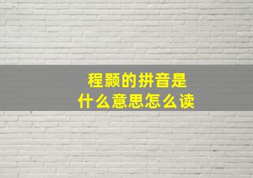 程颢的拼音是什么意思怎么读