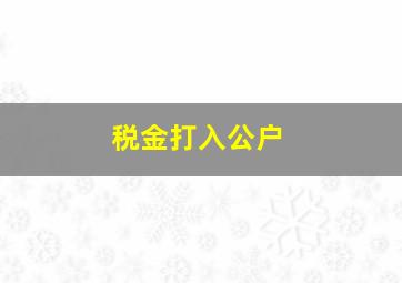 税金打入公户