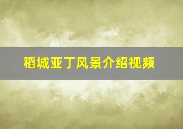 稻城亚丁风景介绍视频