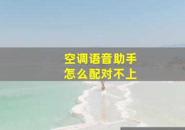 空调语音助手怎么配对不上