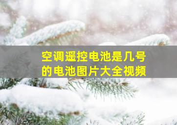 空调遥控电池是几号的电池图片大全视频