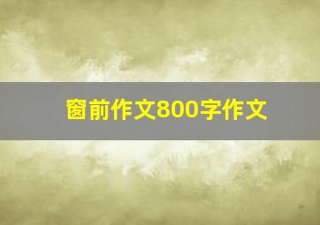 窗前作文800字作文