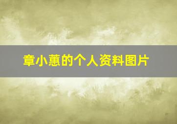 章小蕙的个人资料图片