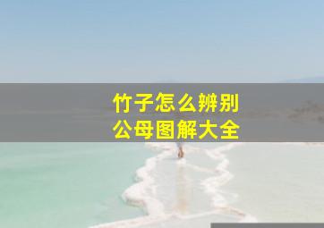 竹子怎么辨别公母图解大全